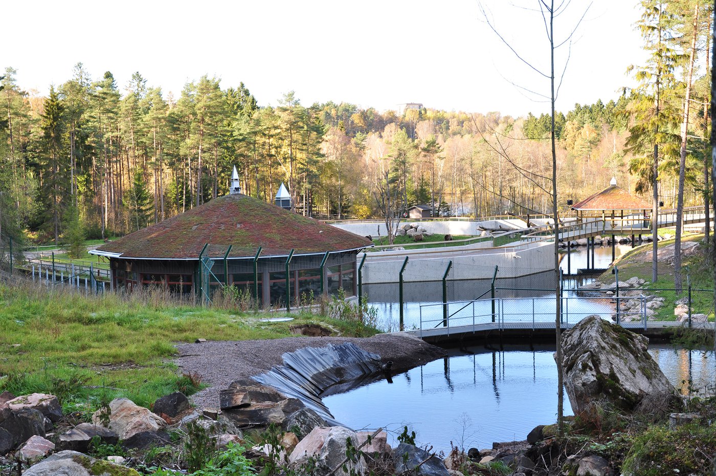 Björnrike Borås Djurpark