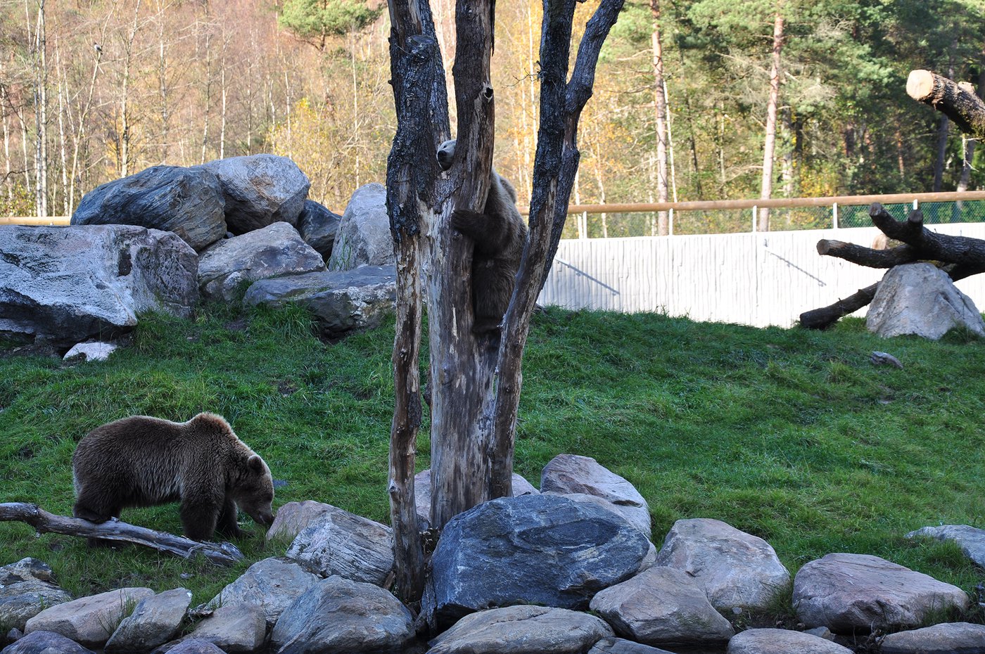 Björnrike Borås Djurpark