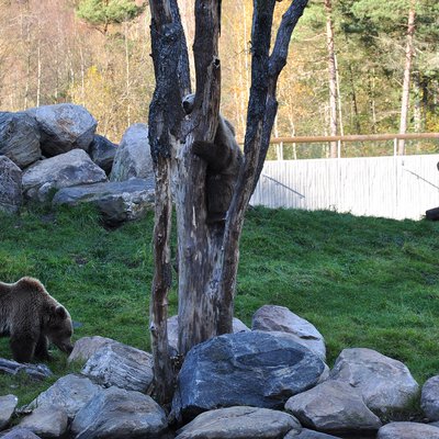 Björnrike Borås Djurpark